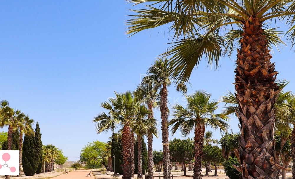 New Build · Villa · San Fulgencio · La Escuera