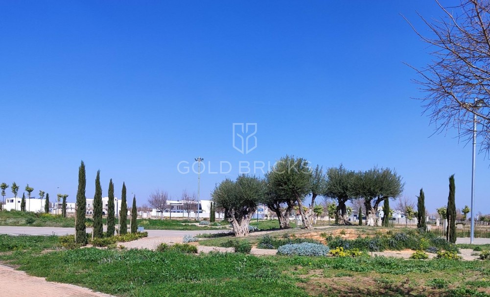 New Build · Penthouse · Torre Pacheco · Centro