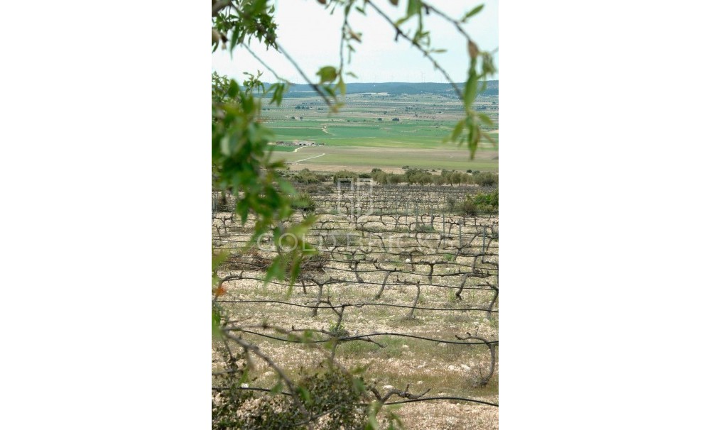 New Build · Villa · Yecla