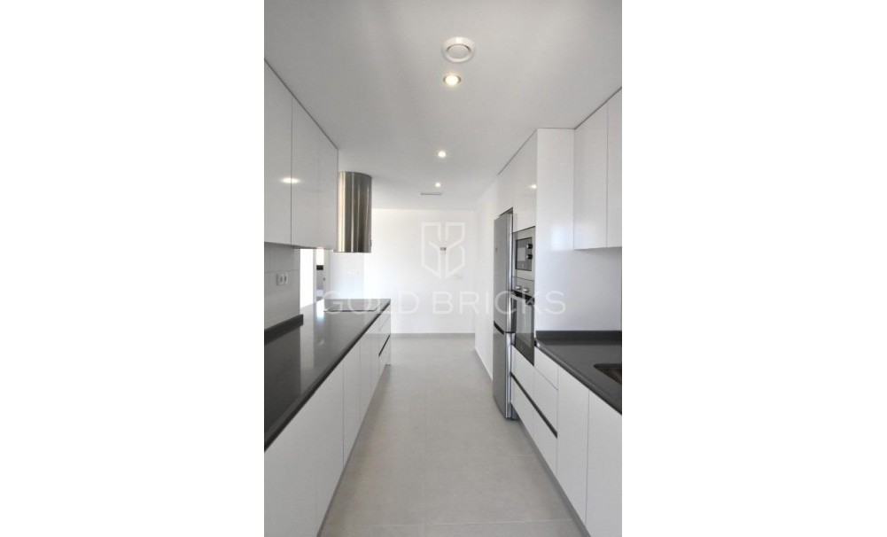 New Build · Penthouse · San Miguel de Salinas · Pueblo