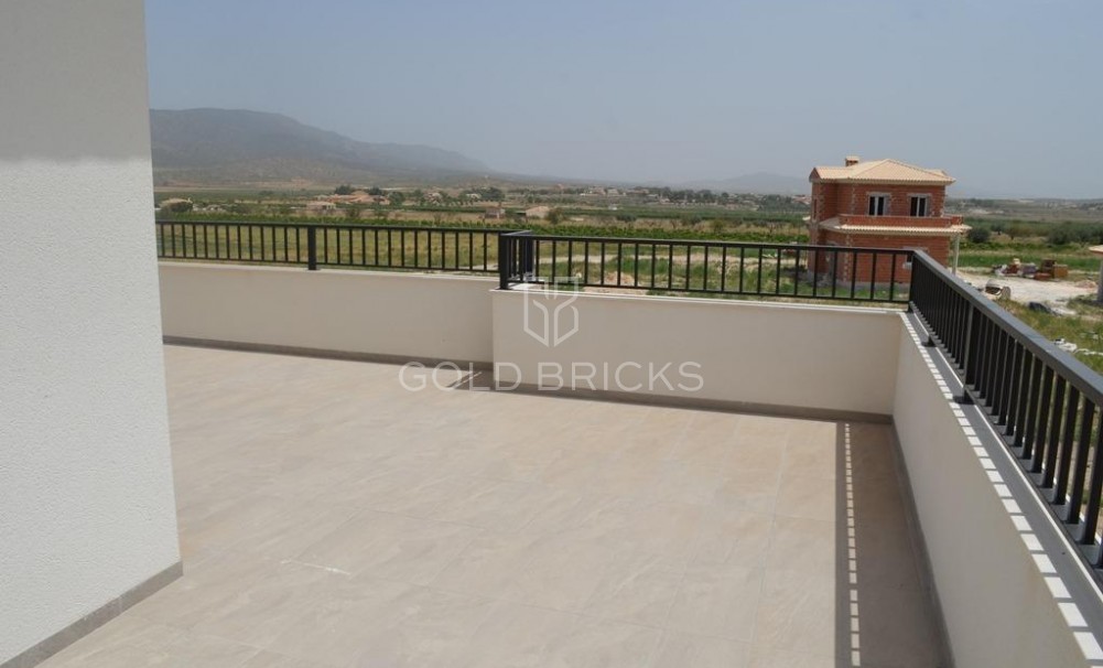 New Build · Villa · Pinoso · Camino Del Prado