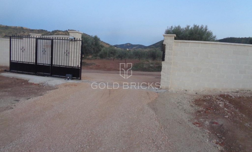 New Build · Villa · Pinoso · Camino Del Prado