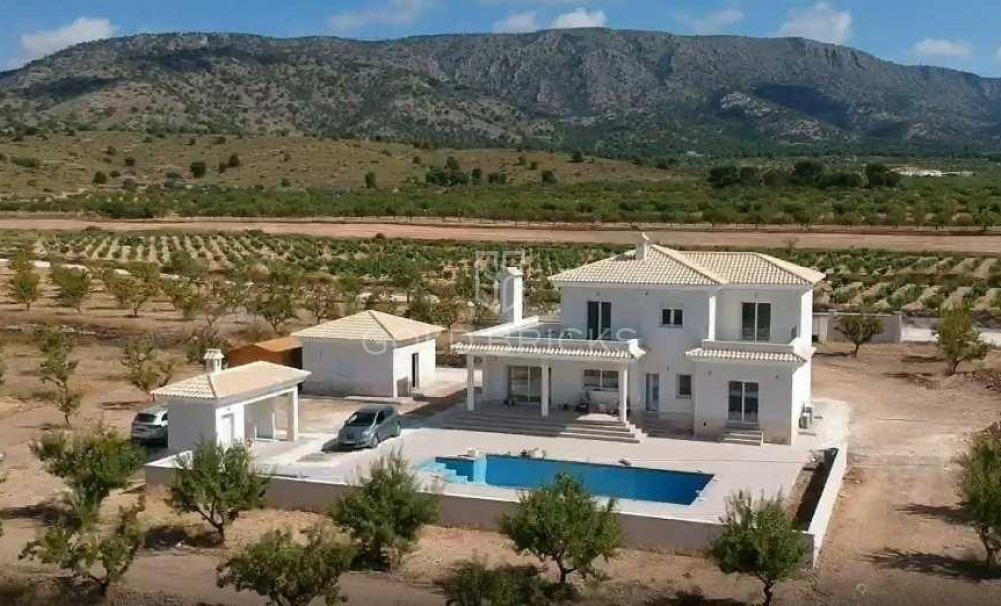 New Build · Villa · Pinoso · Camino Del Prado