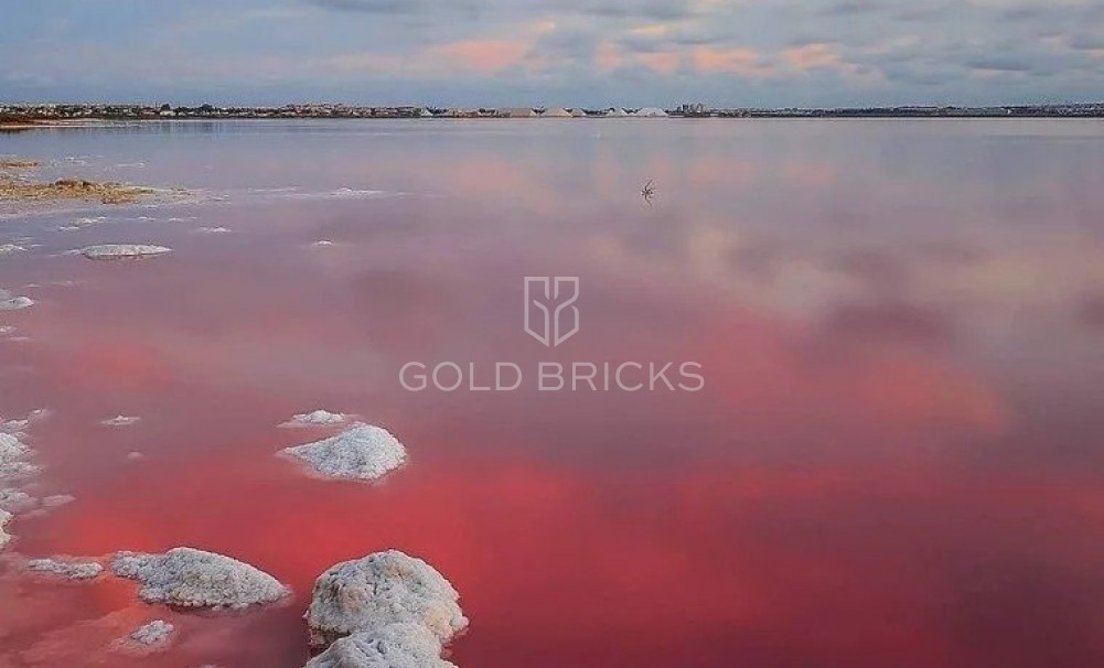 Nieuwbouw · Bungalow · Torrevieja · Lago Jardín II