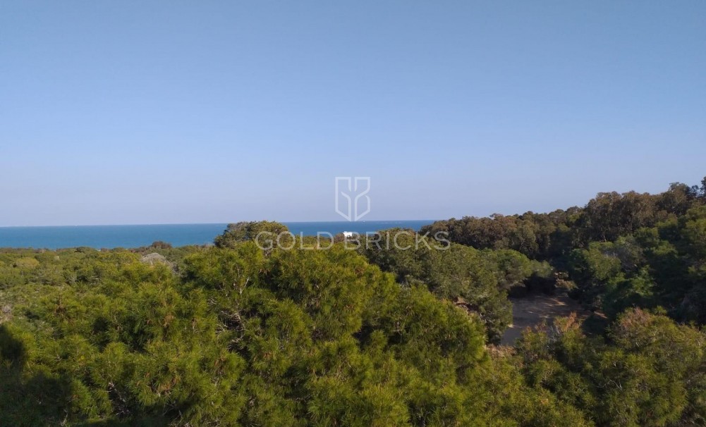 New Build · Apartment · Guardamar del Segura · Pueblo