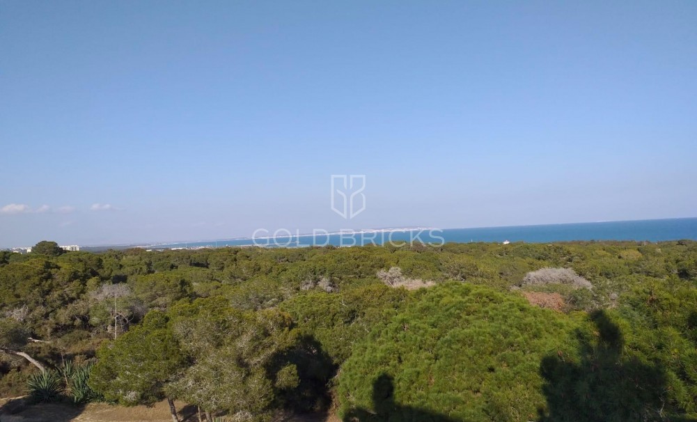 New Build · Penthouse · Guardamar del Segura · Pueblo