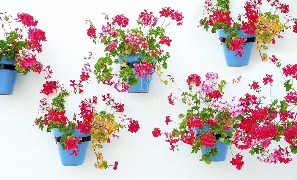 New Build · Ground floor apartment · Mijas · La Noria Golf