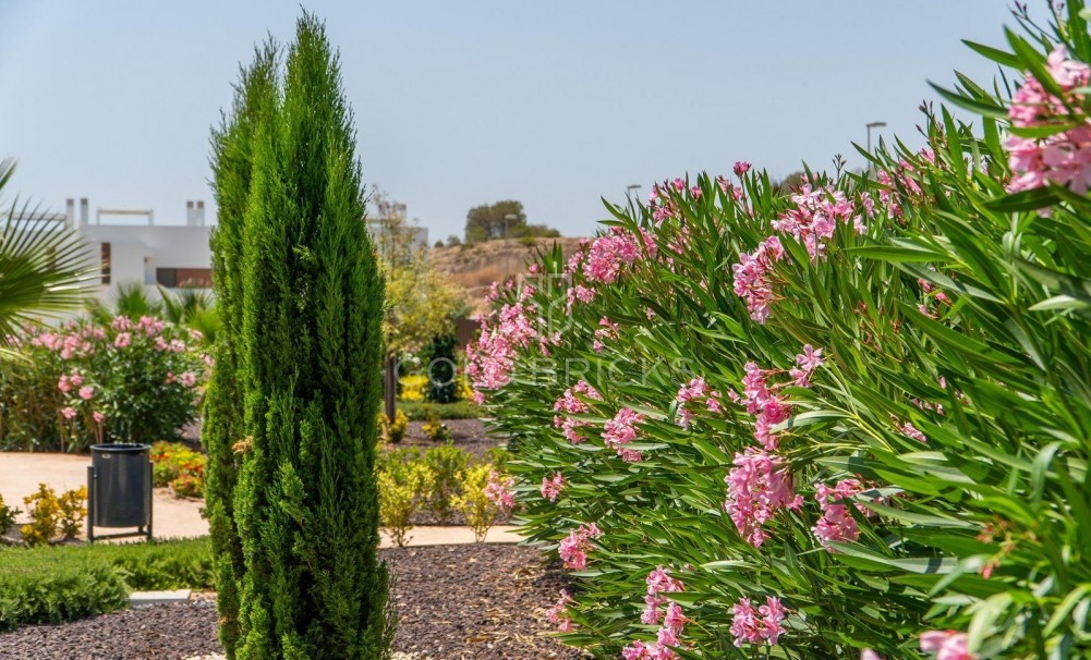 New Build · Top Floor Bungalow · Orihuela · Vistabella Golf