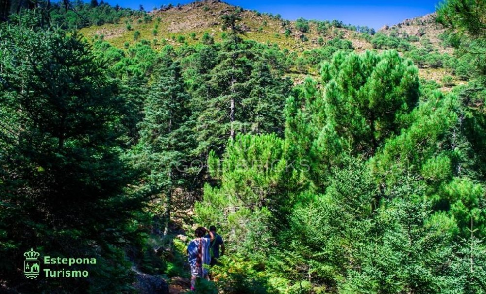 New Build · Penthouse · Estepona · Playa de La Rada