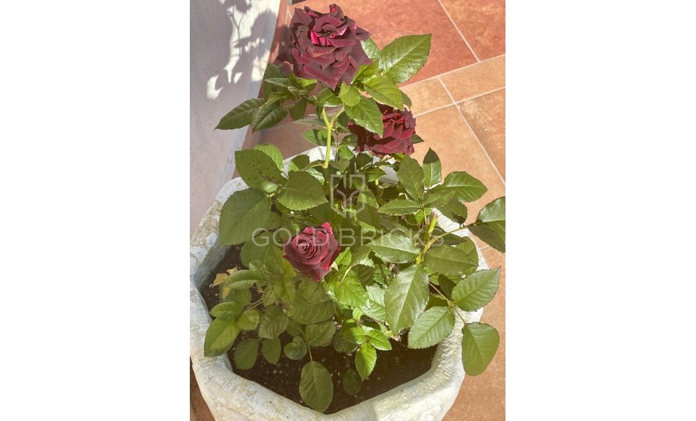 Återförsäljning · VILLOR · Moraira · Benimeit