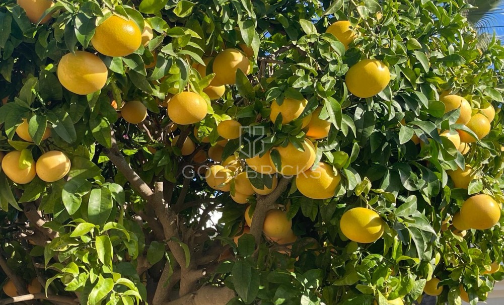 Återförsäljning · VILLOR · Moraira · Benimeit