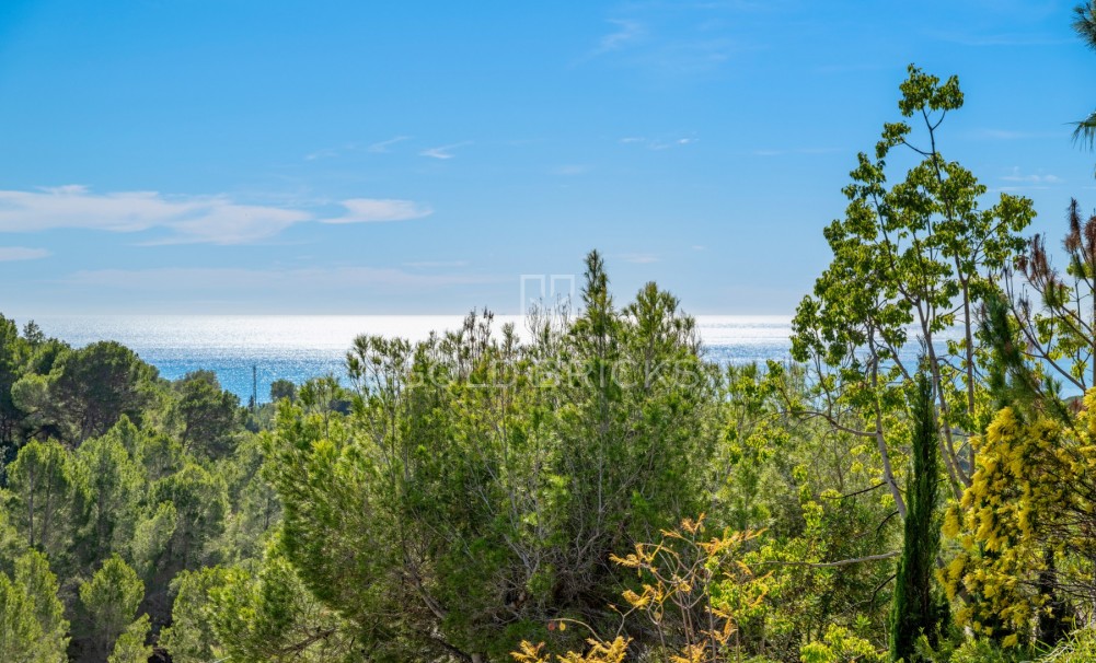 Sale · Luxury Villa · Altea