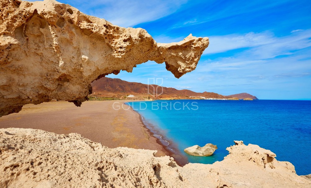 New Build ·  · Vera