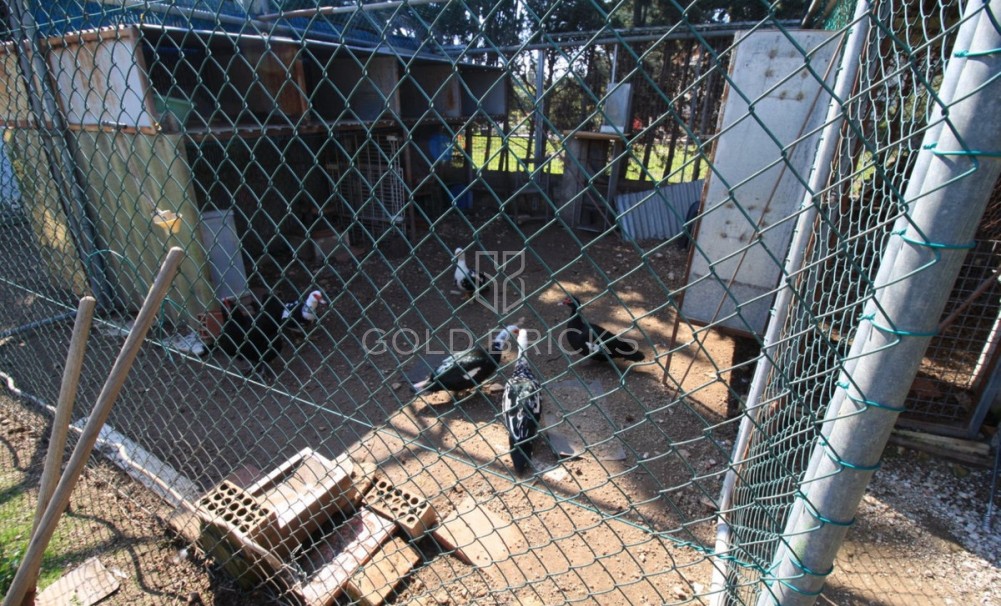 Sale · House - Bungalow · Orihuela · Orihuela Costa