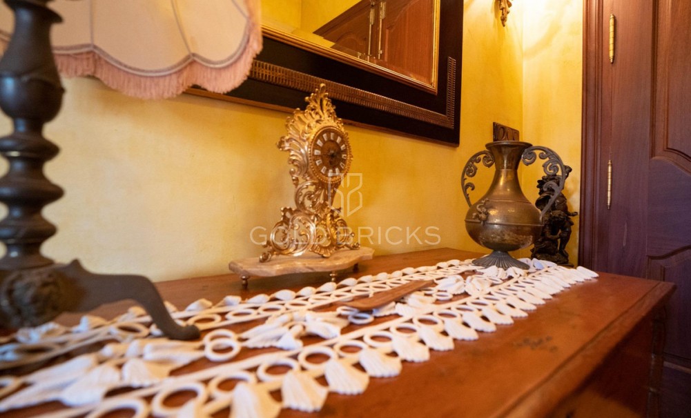 Återförsäljning ·  · San Miguel de Salinas · San Miguel de Salinas Centro