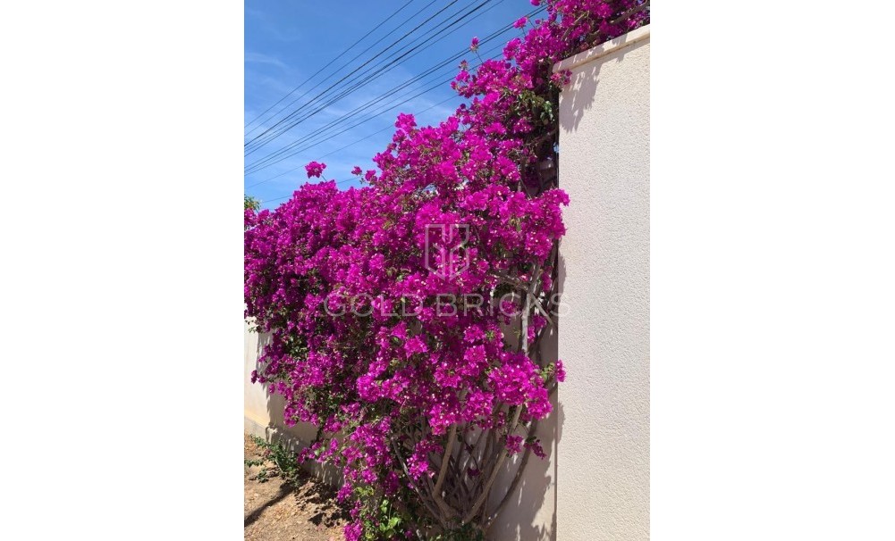 Sale · House - Bungalow · Rojales · Ciudad Quesada