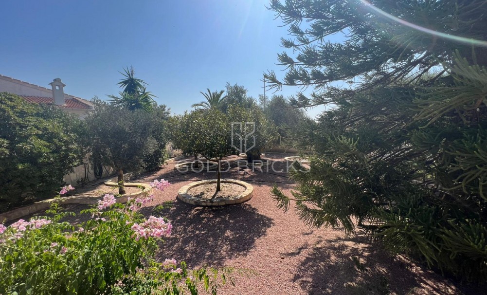 Sale · House - Bungalow · Rojales · Ciudad Quesada