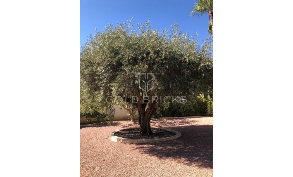 Sale · House - Bungalow · Rojales · Ciudad Quesada