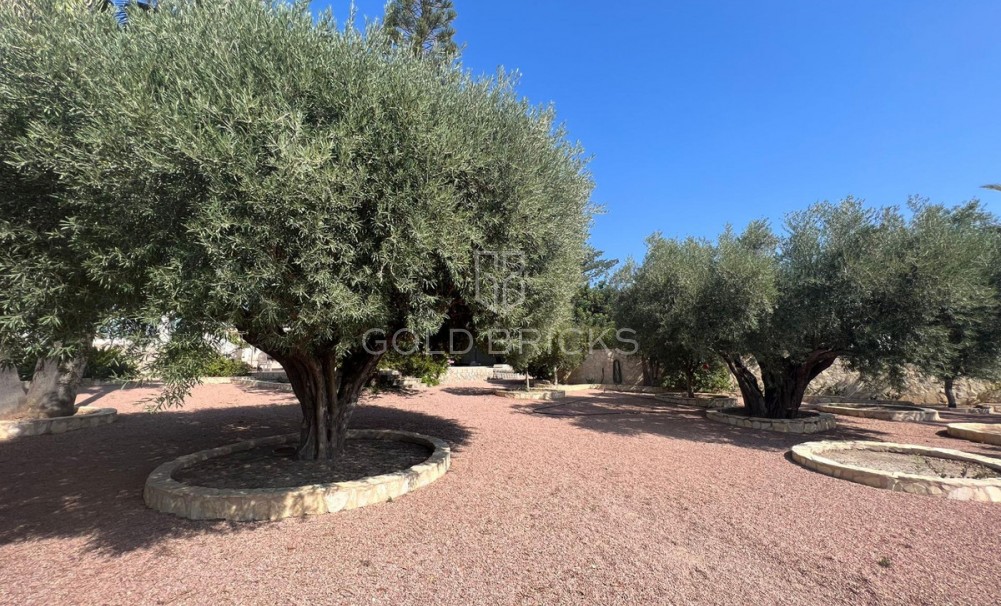 Sale · House - Bungalow · Rojales · Ciudad Quesada