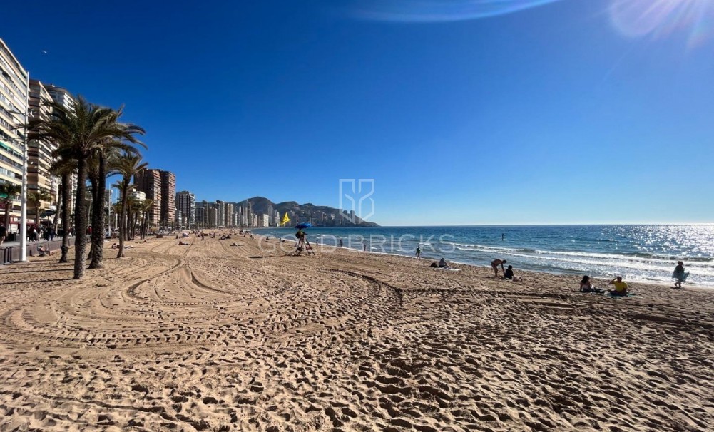 Sale · Commercial - Business · Benidorm · Benidorm Centro