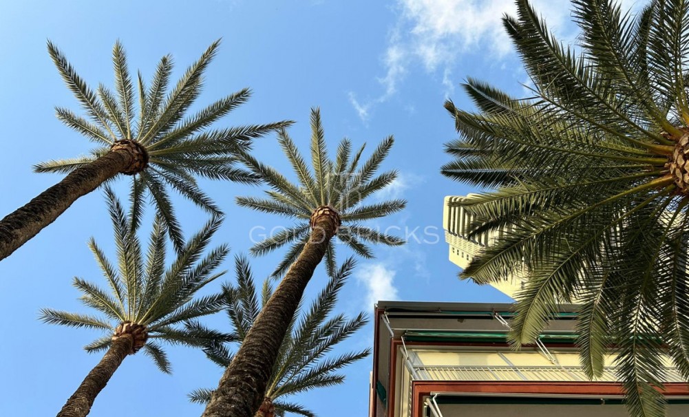 Sale · Apartment - Middle Floor Apartment · Benidorm · Benidorm Centro