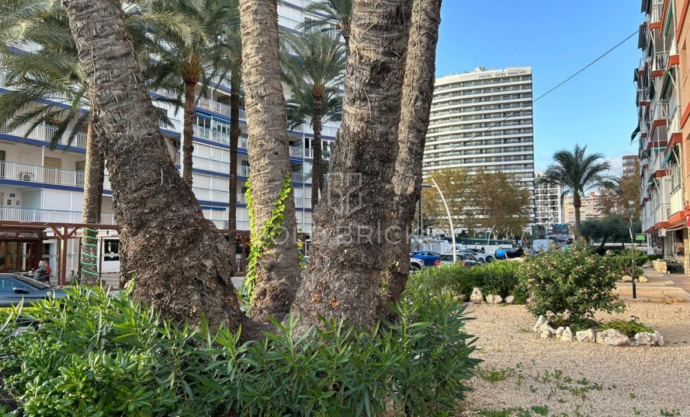 Sale · Apartment - Middle Floor Apartment · Benidorm · Benidorm Centro