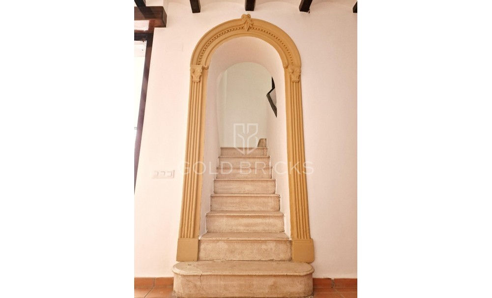 Wederverkoop ·  · Oliva