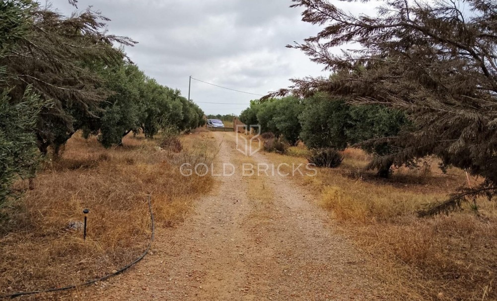 Wederverkoop ·  · Cartagena · La Magdalena