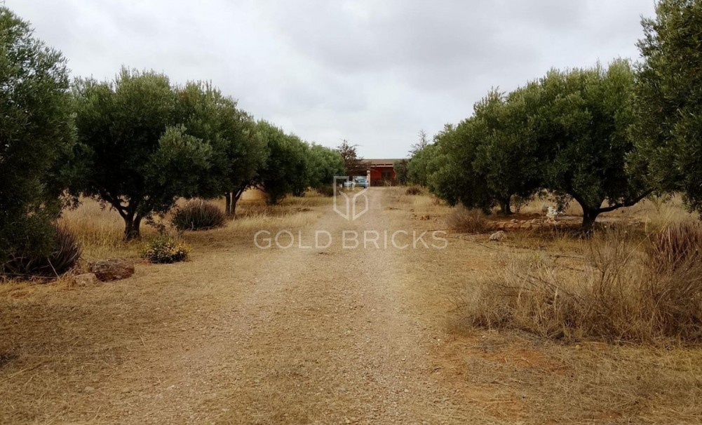 Wederverkoop ·  · Cartagena · La Magdalena