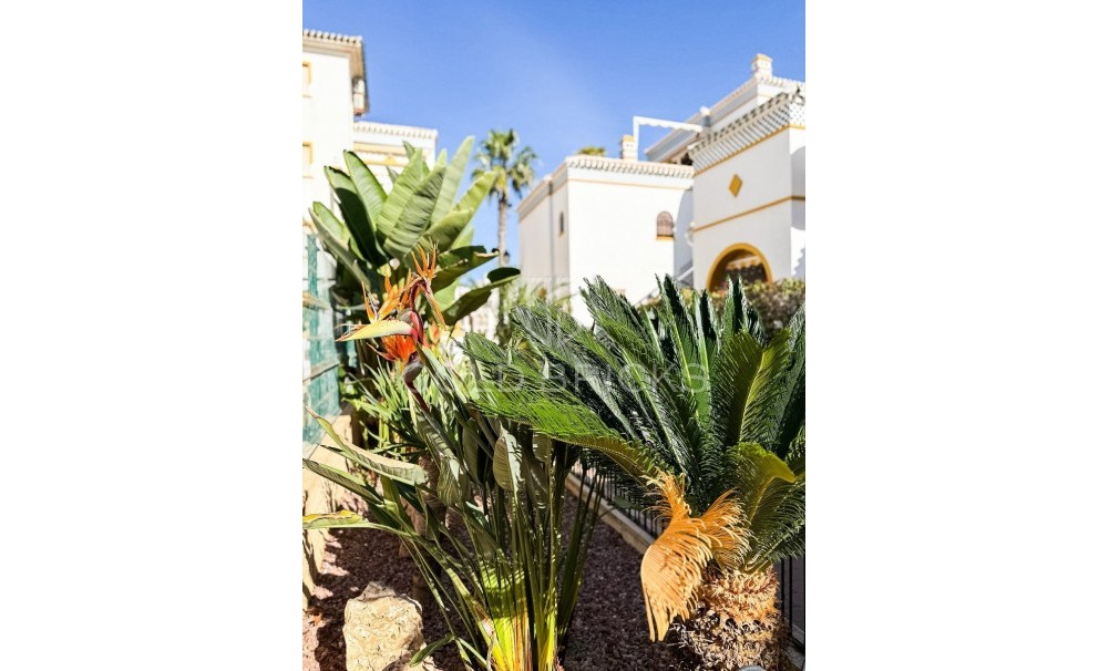 Wederverkoop ·  · Torrevieja · Torrevieja Centro