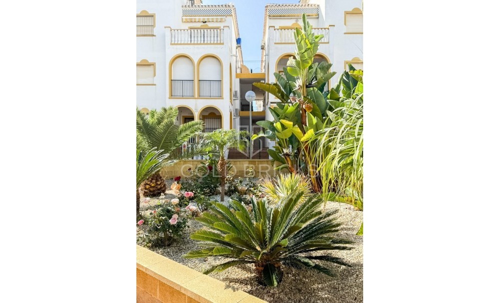 Wederverkoop ·  · Torrevieja · Torrevieja Centro