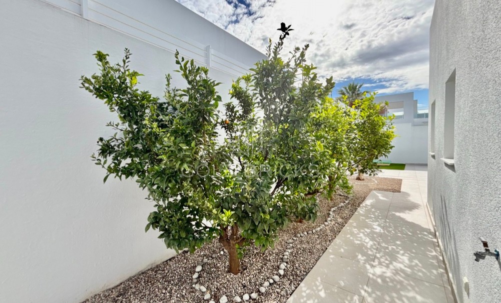 Sprzedaż ·  · Benijofar