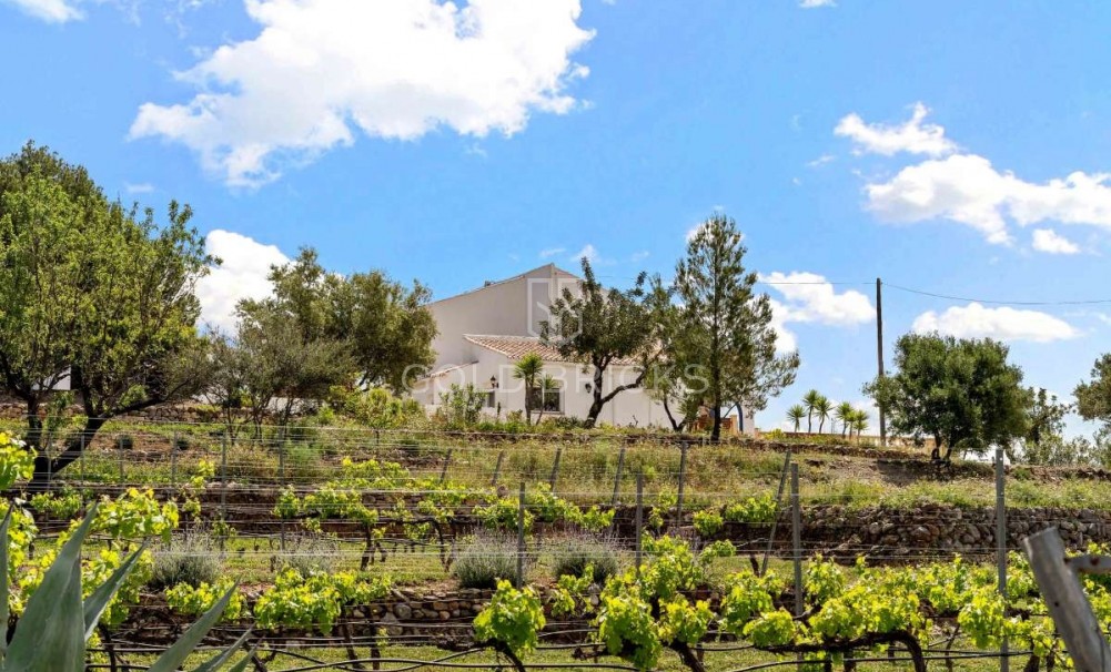 Återförsäljning ·  · Murla