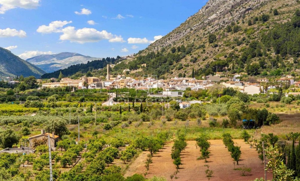 Återförsäljning ·  · Murla