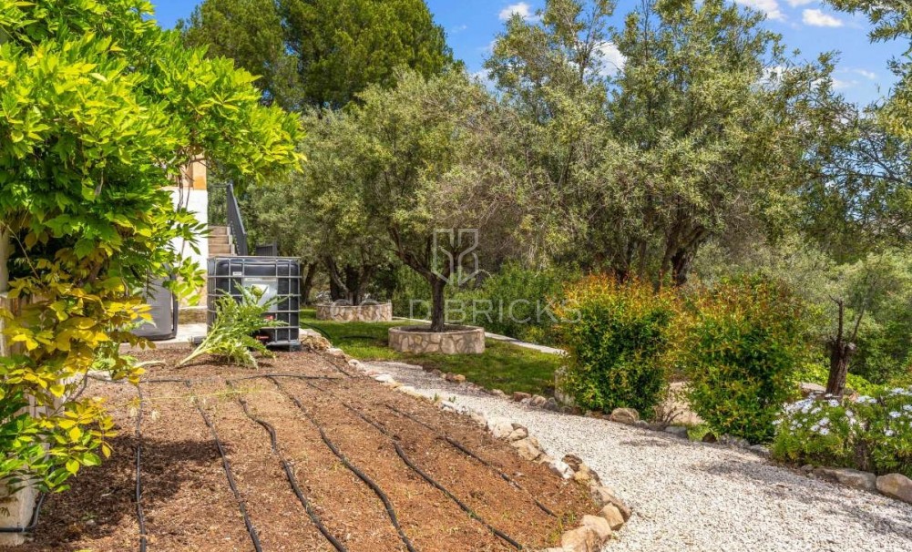 Återförsäljning ·  · Murla