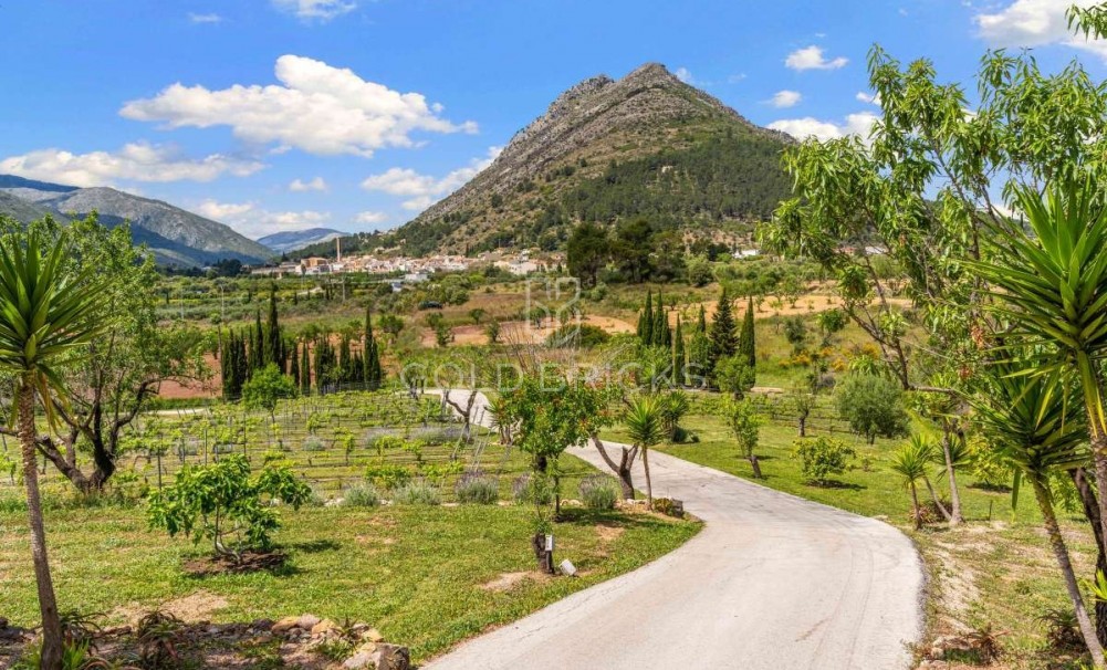 Återförsäljning ·  · Murla