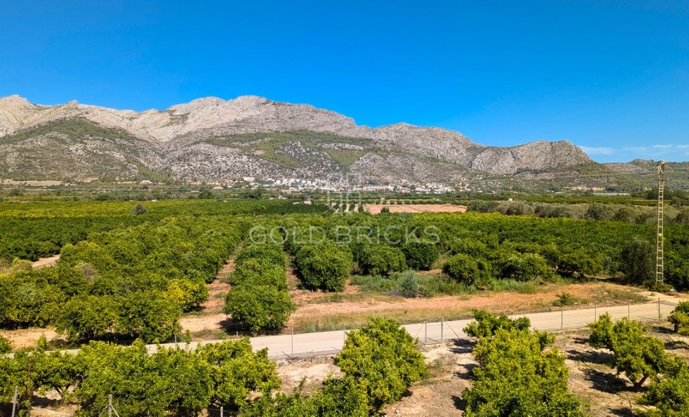 Wederverkoop ·  · Orba · Orba Centro