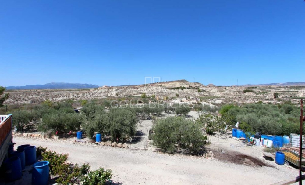 Sale · House - Detached Villa · Albudeite