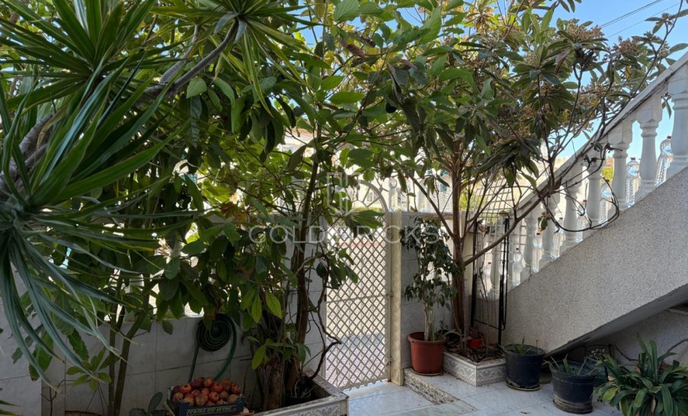 Wederverkoop ·  · Torrevieja · Torrevieja Centro