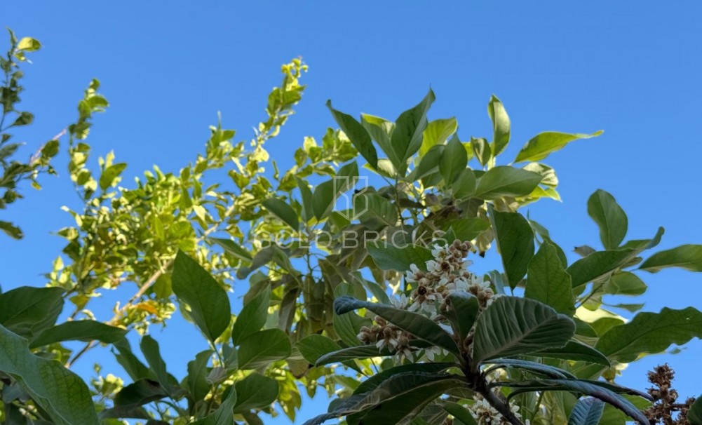 Wederverkoop ·  · Torrevieja · Torrevieja Centro