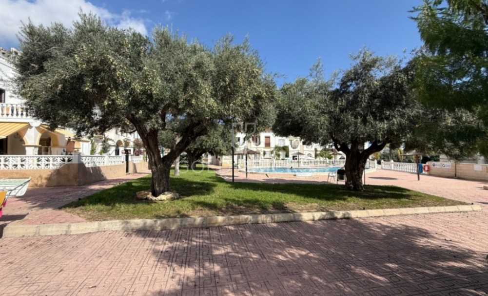 Wederverkoop ·  · San Miguel de Salinas · San Miguel de Salinas Centro