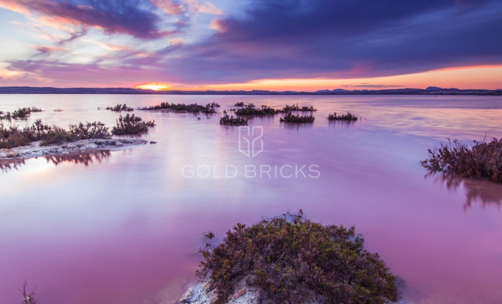 Wederverkoop ·  · Torrevieja · La Mata