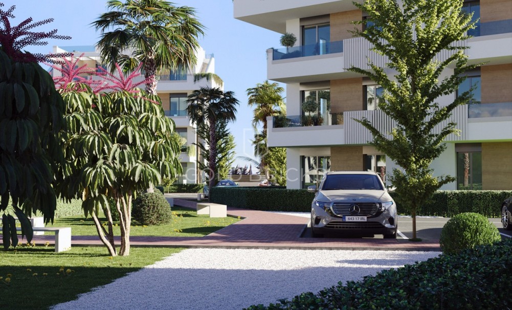 Nieuwbouw ·  · Torre-Pacheco · Torre-Pacheco Centro