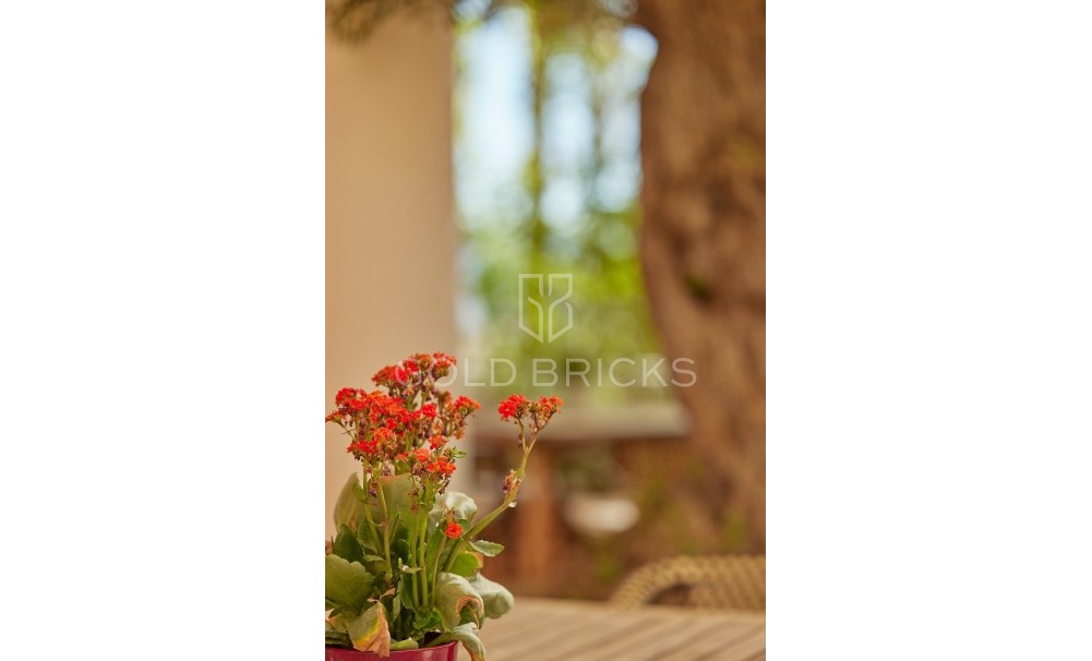 Nieuwbouw ·  · l'Alfas del Pi · L'Alfás del Pi Centro