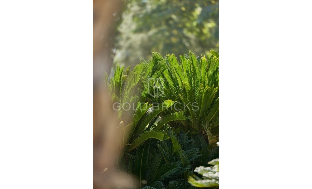 Nieuwbouw ·  · l'Alfas del Pi · L'Alfás del Pi Centro