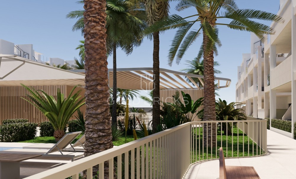 New Build ·  · Torre-Pacheco · San Cayetano