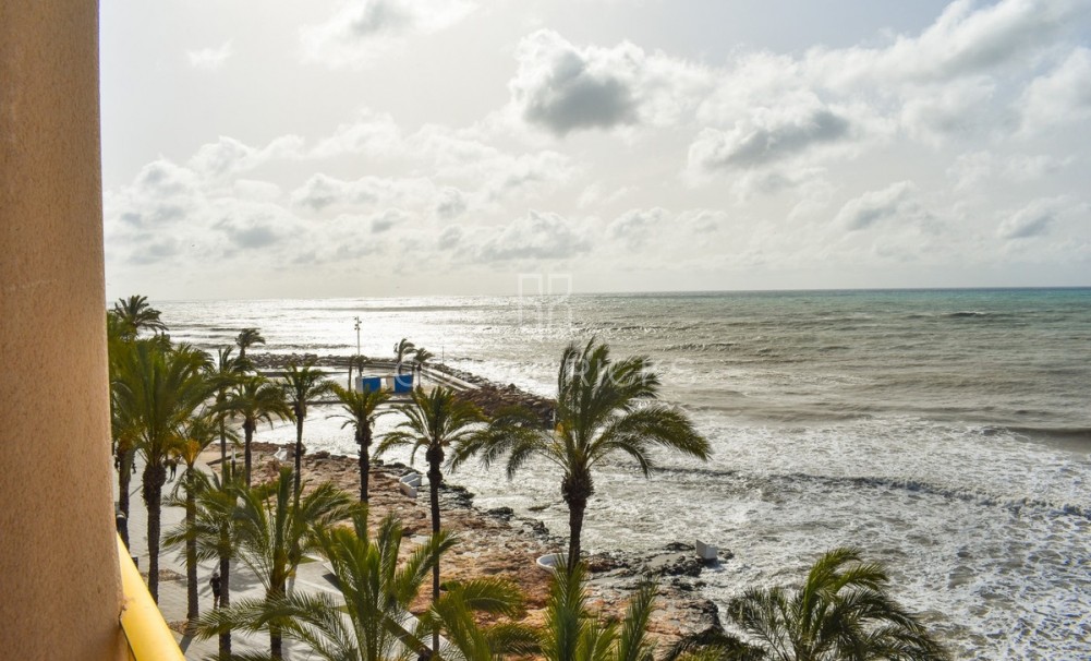 Wederverkoop ·  · Torrevieja · Torrevieja Centro