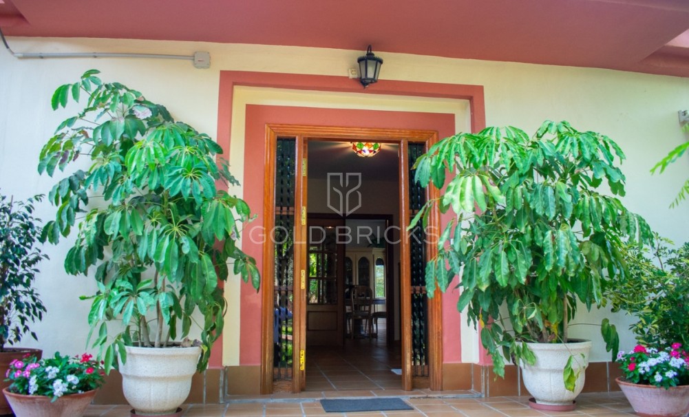 Wederverkoop ·  · Molina De Segura · Molina de Segura Centro