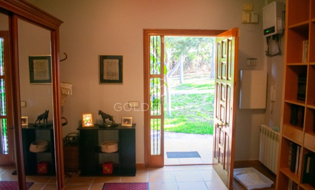 Wederverkoop ·  · Molina De Segura · Molina de Segura Centro