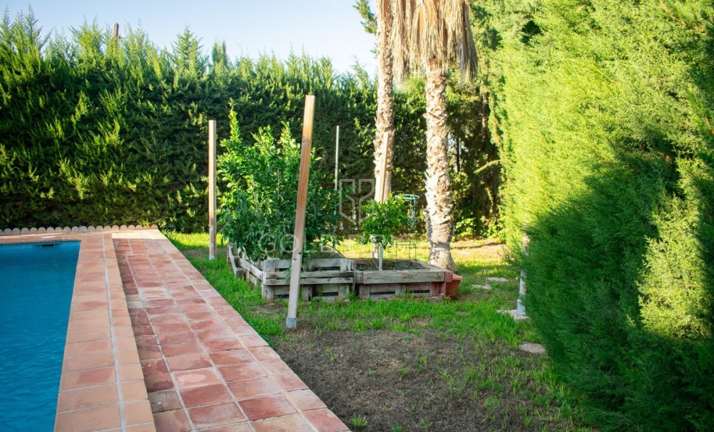 Wederverkoop ·  · Molina De Segura · Molina de Segura Centro